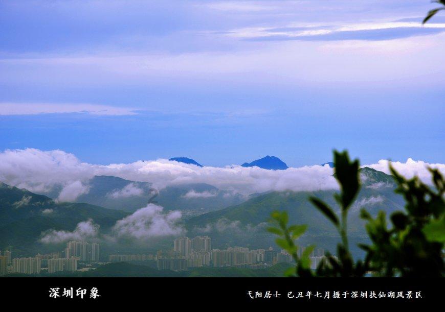 矿工打地鼠