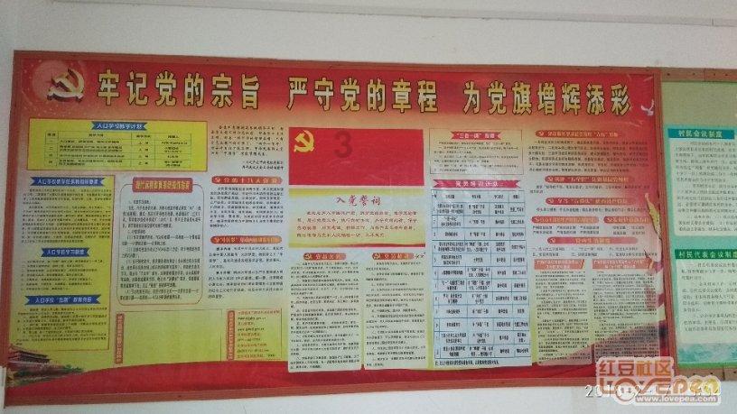 我要当大触